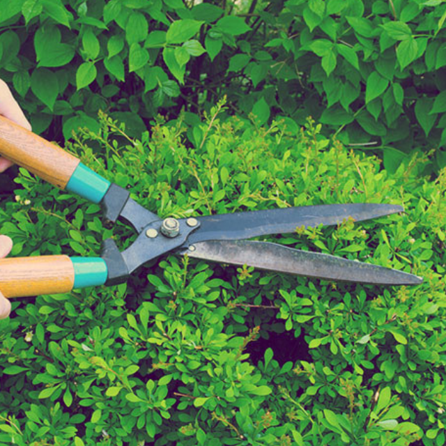 Horticulture Services